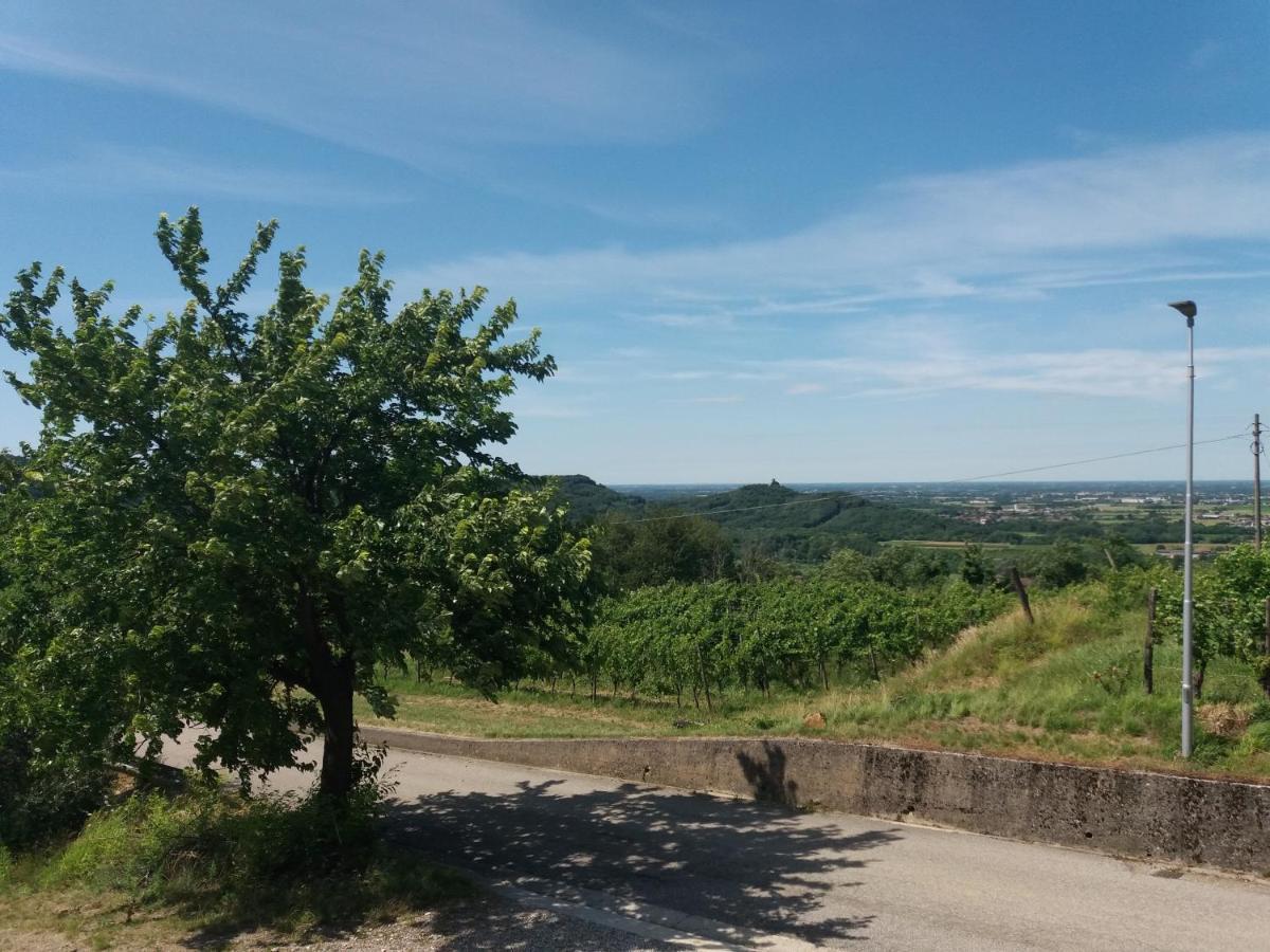 Agriturismo Casa Delle Rose Winery Ruttàrs Exteriér fotografie