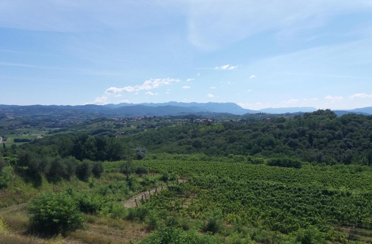 Agriturismo Casa Delle Rose Winery Ruttàrs Exteriér fotografie