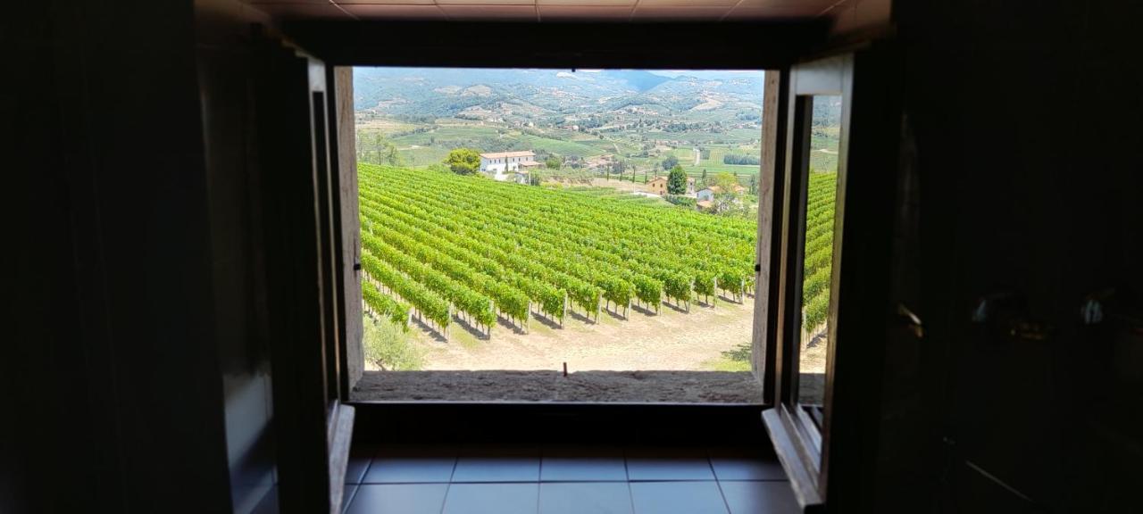 Agriturismo Casa Delle Rose Winery Ruttàrs Exteriér fotografie