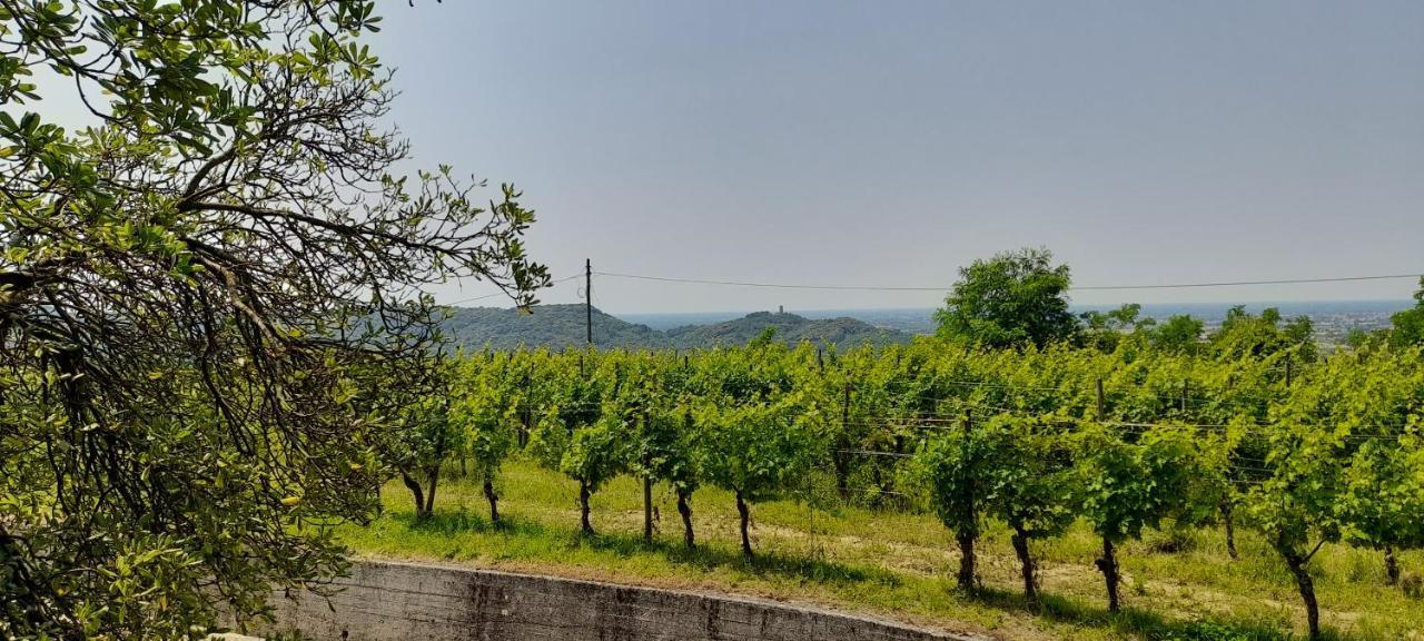Agriturismo Casa Delle Rose Winery Ruttàrs Exteriér fotografie