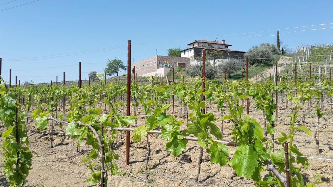Agriturismo Casa Delle Rose Winery Ruttàrs Exteriér fotografie