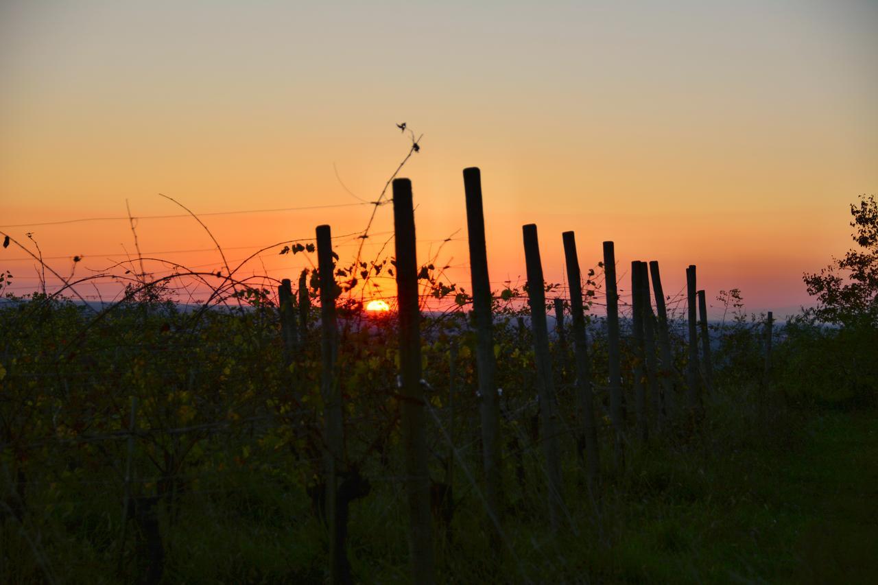 Agriturismo Casa Delle Rose Winery Ruttàrs Exteriér fotografie