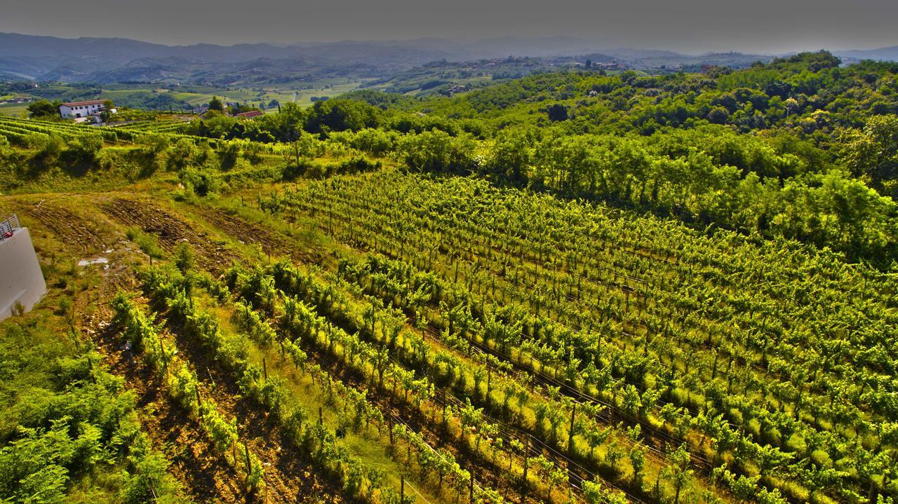 Agriturismo Casa Delle Rose Winery Ruttàrs Exteriér fotografie
